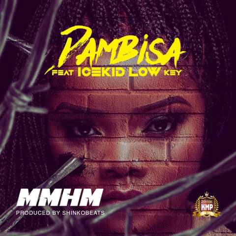 Dambisa ft. Icekid Low Key - Mmhm Mp3