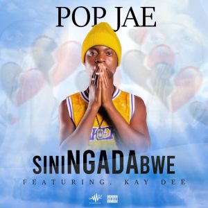 Siningadabwe