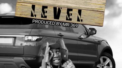 Fly Jay - Pali Level Mp3