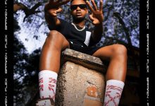 Download Brawen Fast Life Experience (F.L.E.X) Full Album Mp3