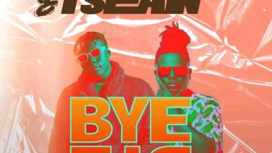 Willz Mr Nyopole ft. T Sean – Bye Bye Mp3