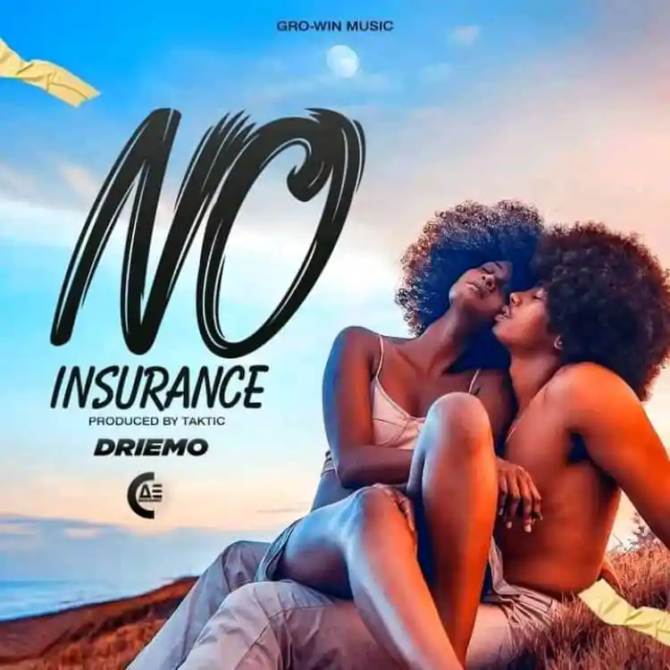 Driemo - No Insurance Mp3