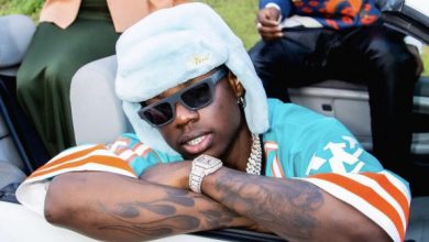 Rema - Are You There Mp3