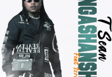 T-Sean ft. Izrael - Ungashanshe Mp3