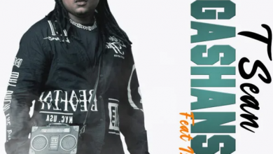 T-Sean ft. Izrael - Ungashanshe Mp3