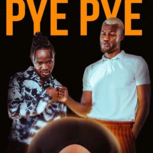 Download Dipsy ft. Aqualaskin - Pye Pye Mp3