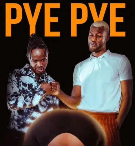Download Dipsy ft. Aqualaskin - Pye Pye Mp3