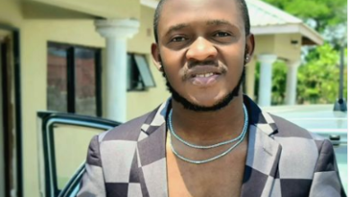 Download Dizmo - Freedom Mp3
