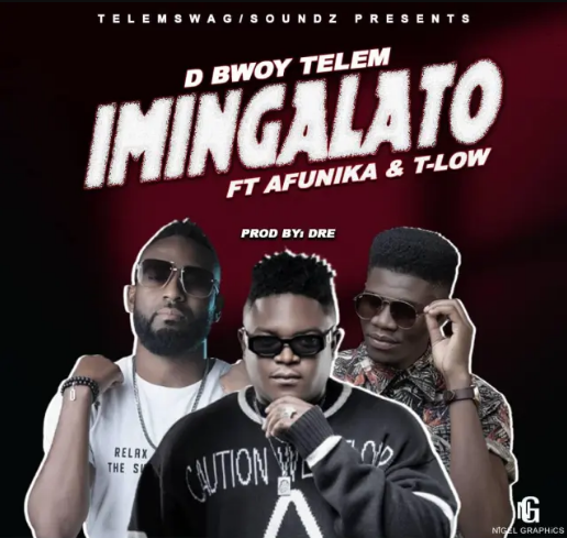 Download D Bwoy Ft Afunika & T Low - imingalato Mp3