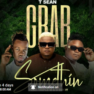 Download T-Sean ft. Triple M & D Bwoy - Grab Somethin Mp3