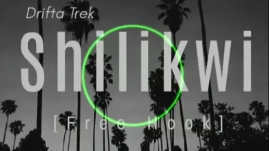 Drifta Trek – ‘Shilikwi (Free Hook)