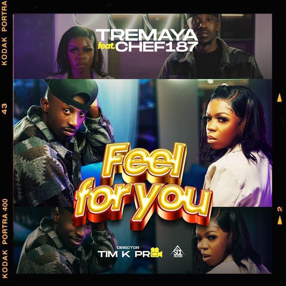 Download Tremaya ft. Chef 187 - Feel For You Mp3