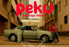 Download Dipsy Ft. Kayz Adams – Peku Mp3