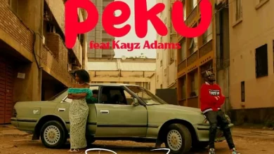 Download Dipsy Ft. Kayz Adams – Peku Mp3