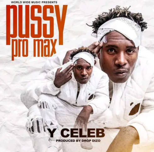 Y Celeb – Pussy Pro Max (Mutale Mwanza Diss) Mp3 Download