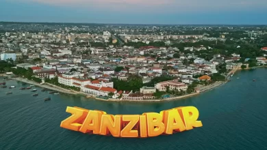 Harmonize Ft. Bruce Melodie - Zanzibar Mp3 Download