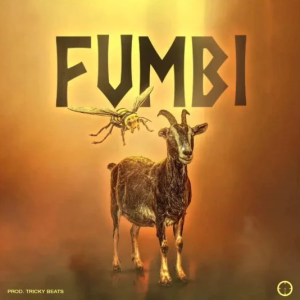 Download Gwamba ft. Eli Njuchi – Fumbi Mp3