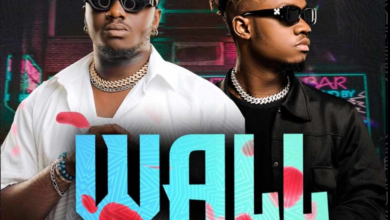 Jorzi Ft. Triple M - Wall Fence Mp3 Download