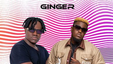 Darkchild Zm Ft Drifta Trek - Ginger Mp3 Download