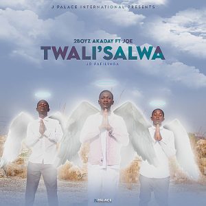 Download 2Boyz Akaday All Latest Songs & Albums Mp3