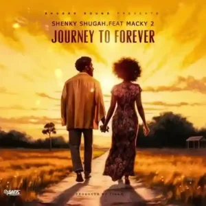 Shenky ft Macky 2 - Journey to Forever Mp3 Download
